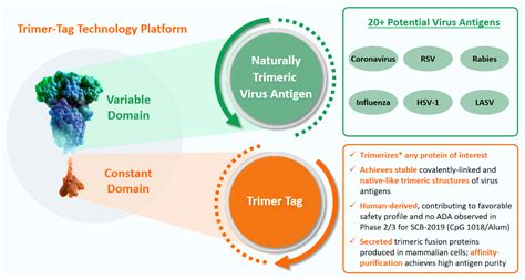 Tagc3 Technology Development