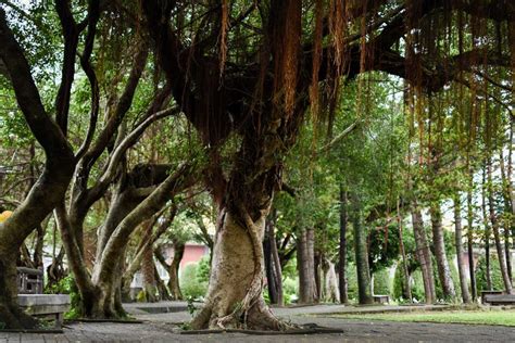 Taipei Parks