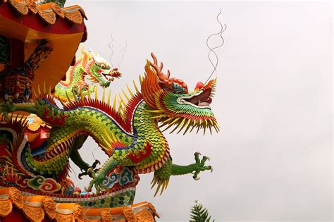 Taiwan Dragon