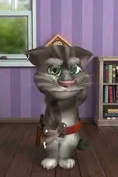 Talking Tom Cat 2 Customization