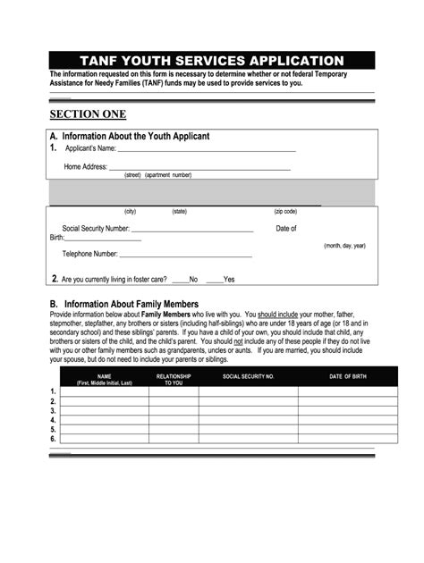 TANF applications