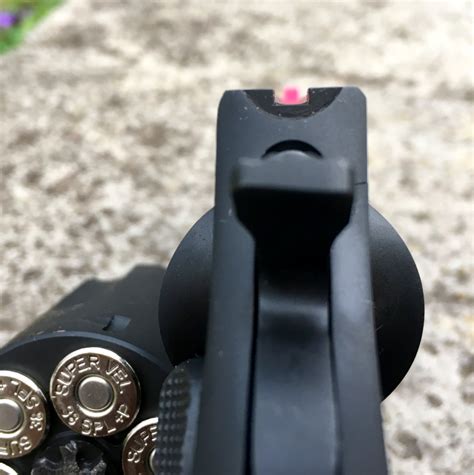 Taurus 856 Sights