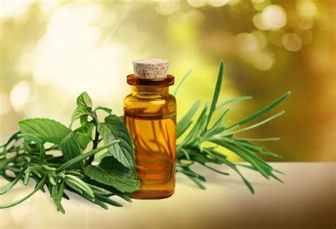 Tea Tree Oil and Other Remedies