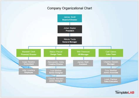 Team Hierarchy Template Word