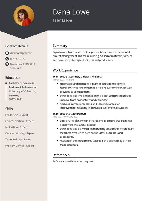 Team Lead Resume Example 2