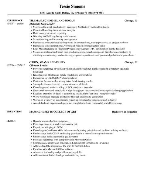 Team Leader Resume Template Technical Skills