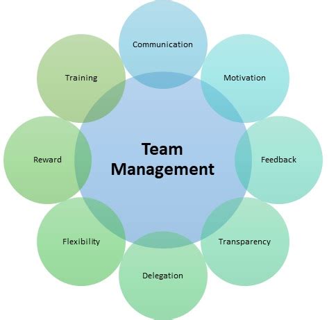 Team Management Template