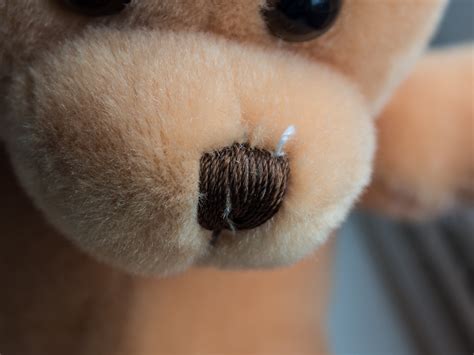 Teddy bear nose