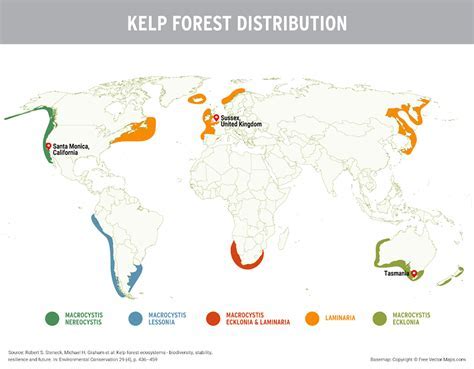 Temperature and kelp growth