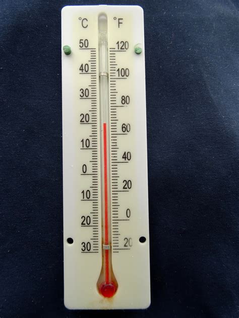 temperature thermometer