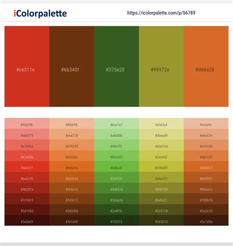 Template Color Schemes