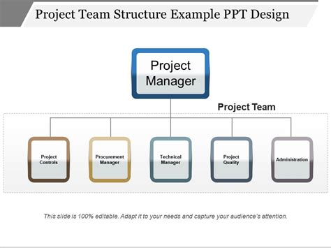 Template.net Project Management Team Structure Template