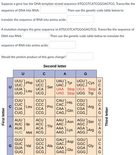 Template Strand Sequence Verification