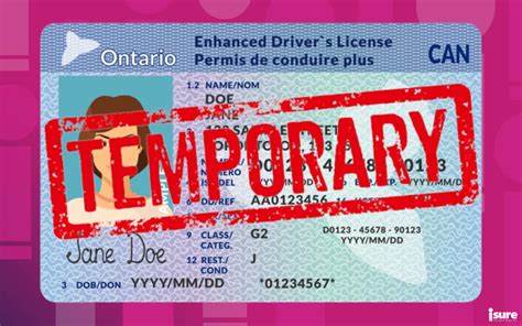 Temporary Driver's License