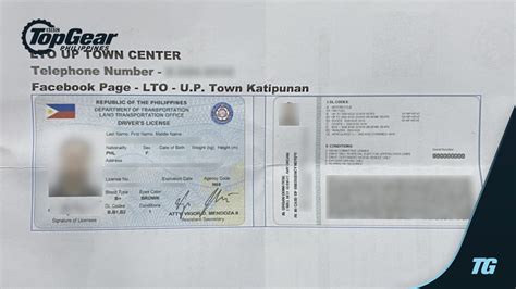 Temporary License