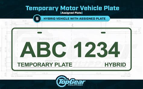 Temporary License Plate Example