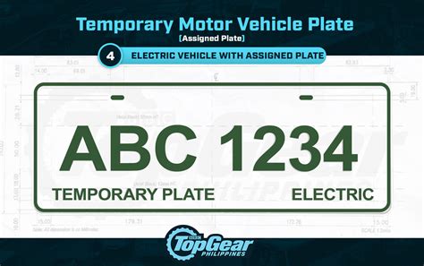 Temporary license plate example 2