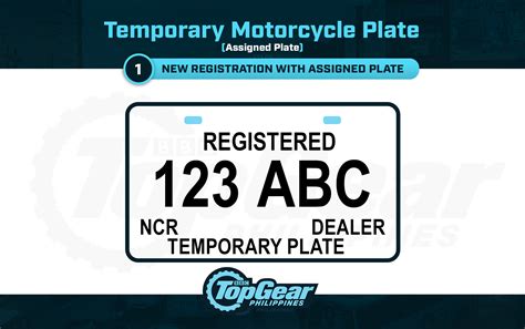 Temporary license plate example 7