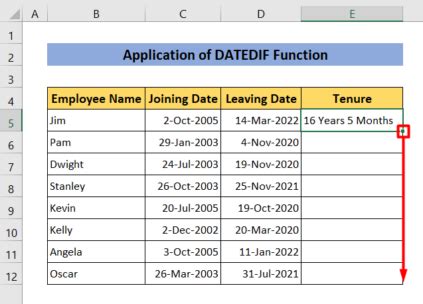 Tenure calculation methods in Excel