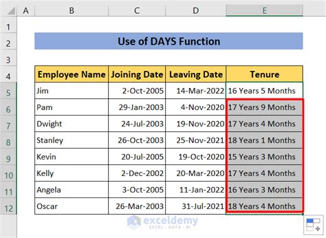 Tenure Calculations with Formulas in Excel