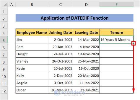 DATEDIF function in Excel