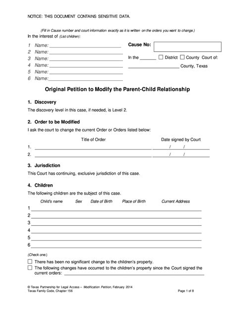 Texas Child Custody Template