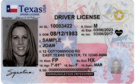 Texas DPS Driver's License Template