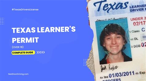 Texas Driver License Learner's Permit