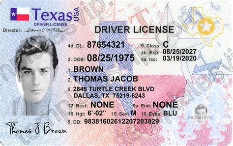 Texas Driver License Paper Template Download