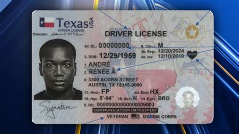 Texas Drivers License Gallery Image 1