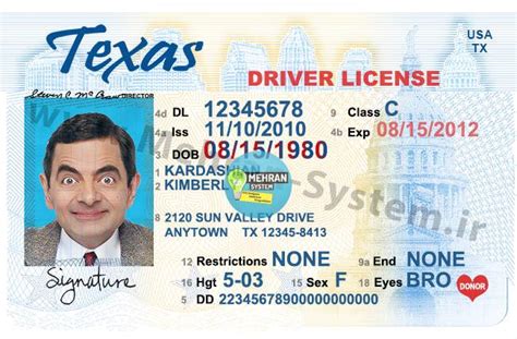 Texas Driver's License Template