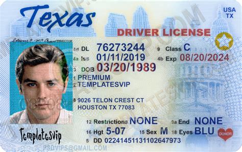 Texas Driver's License Template PSD 2