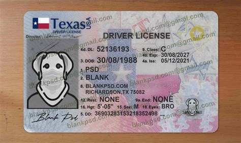 Texas Paper Driver's License Template Sample