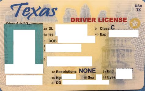 Texas Paper ID Template Features