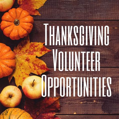 Thanksgiving volunteer gallery