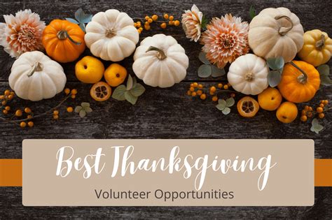 Thanksgiving Volunteer Work