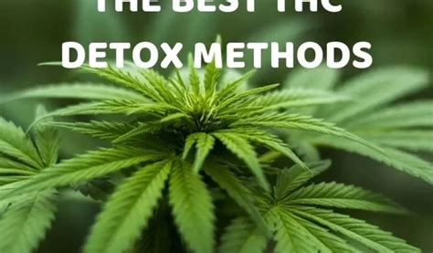 Methods for THC Detox