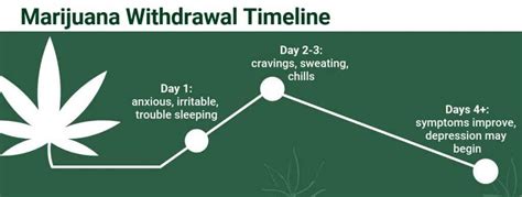 THC Detox Timeline