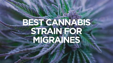 THC for migraines