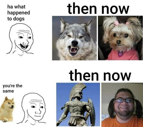 Then vs now friend group meme