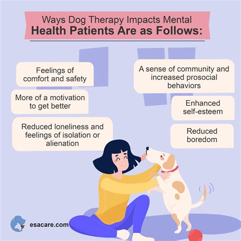 Therapy dog benefits