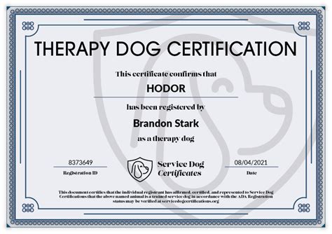 Therapy dog certificate