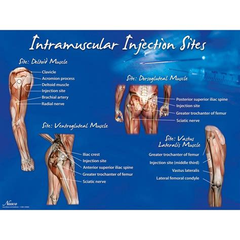 Thigh Injection Site