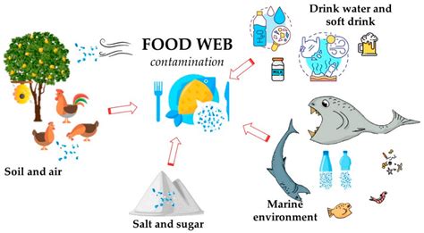 Threats to Food Chains