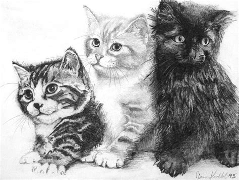 Three Little Kittens Drawing