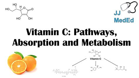 Threonate vitamin C absorption