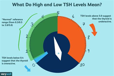 Thyroid Hormone Levels