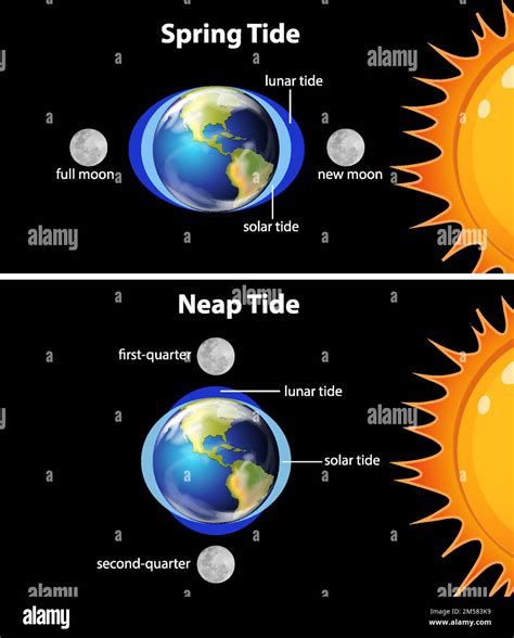 Tides Definition