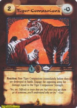 Tiger Companion