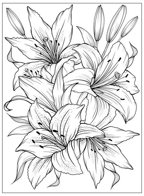 Tiger Lily Coloring Page